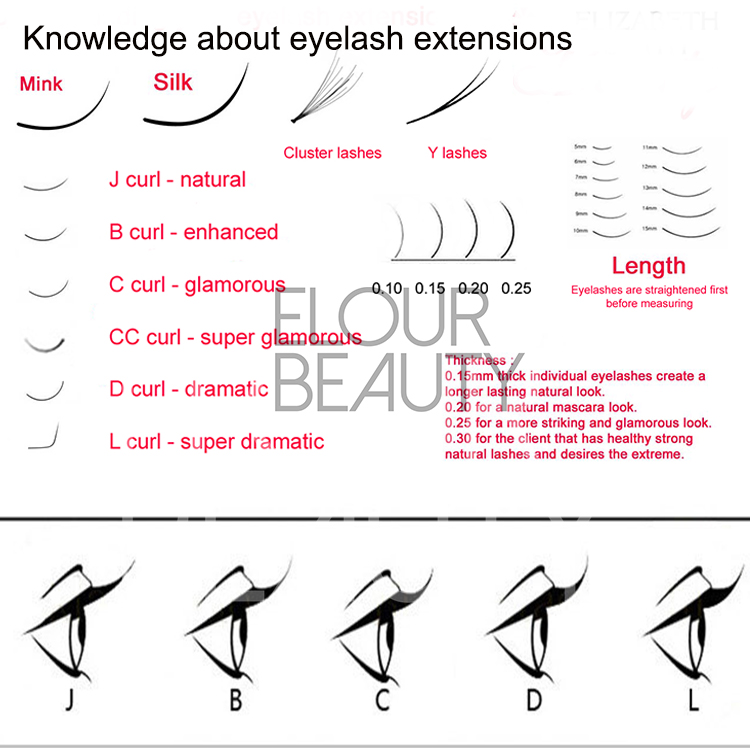 lash stylist.jpg